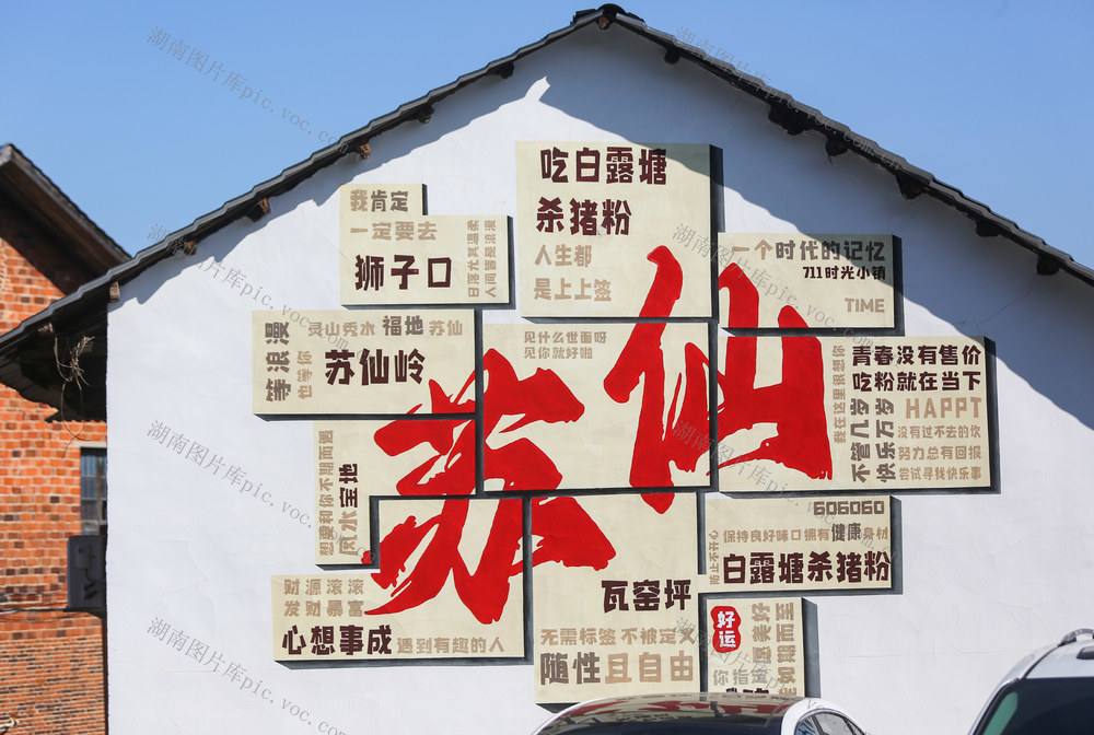 游客   湖南   郴州  城东新区   城市花海    粉黛  格桑花  向日葵  花田  市民  游客  网红打卡地   