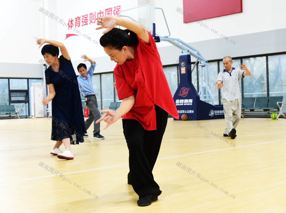 老年保健  科学养生  疾病预防  知识培训