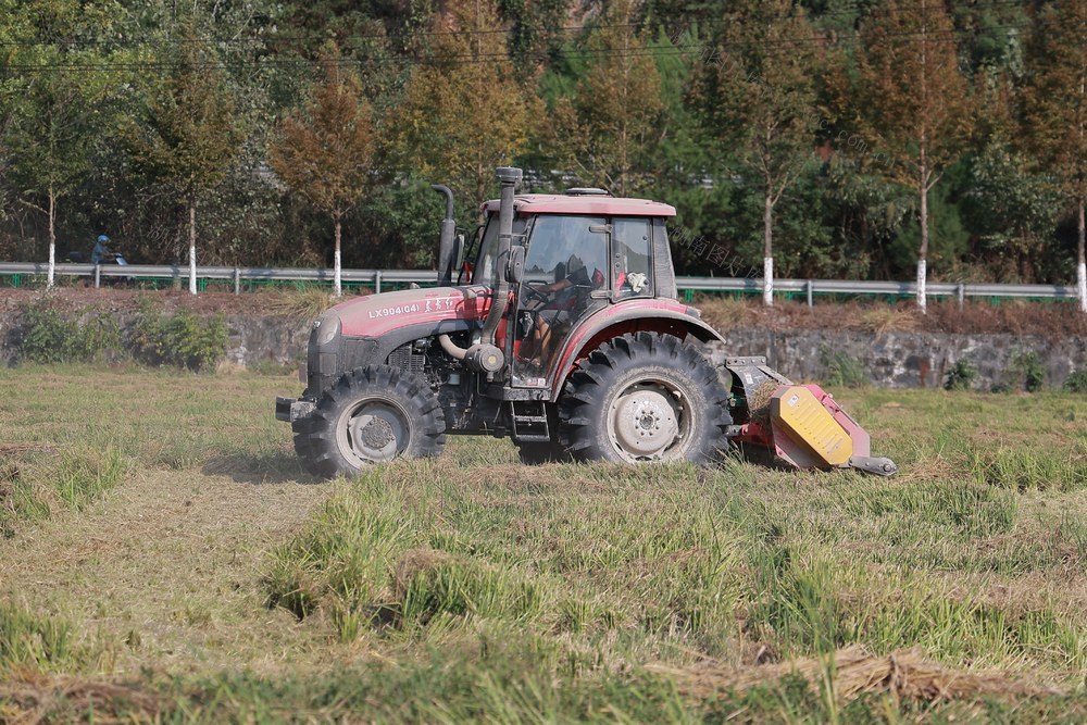 农业、农田、秸秆利用、耕地、绿色农业