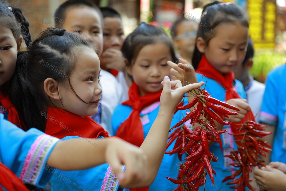 红领巾 相约 丰收季