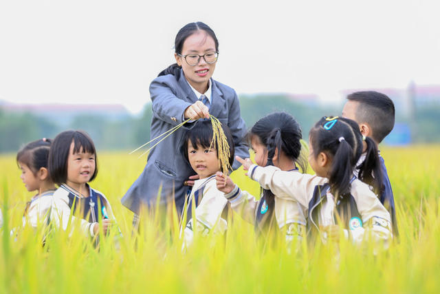 世界粮食日  粮食 普及粮食知识 迎接世界粮食日