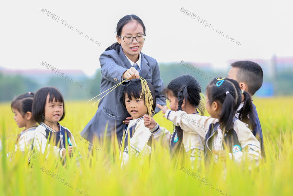 世界粮食日  粮食 普及粮食知识 迎接世界粮食日