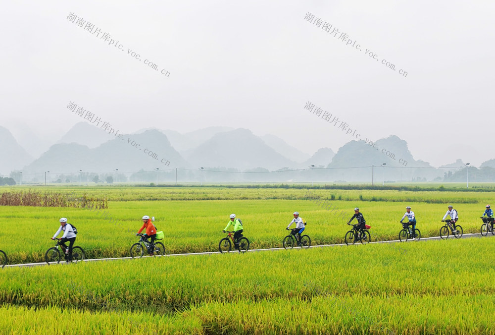 宁远：金秋田园骑行乐