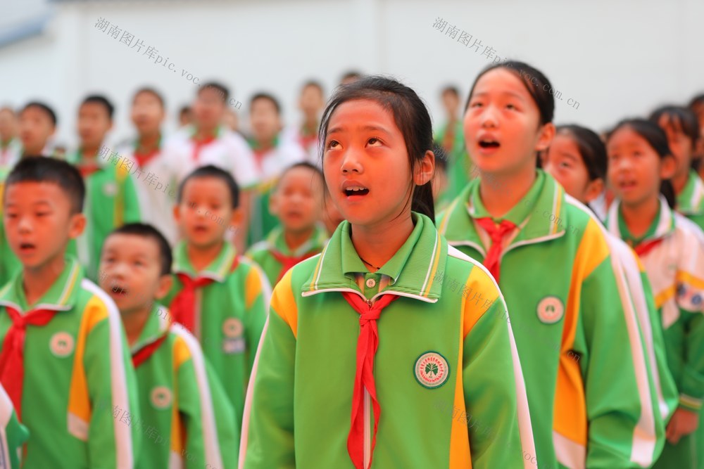 湖南 少先队员 入队 土家族 队员 湘西 苗族 小学 红领巾 先锋