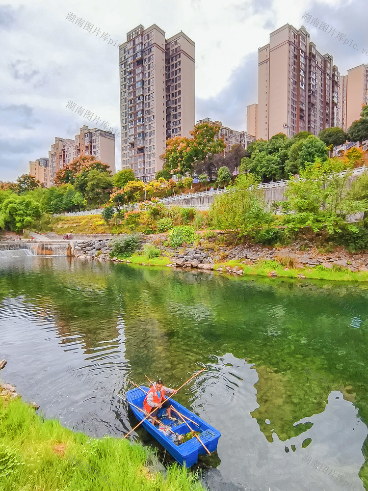 秋意渐浓    护河保洁