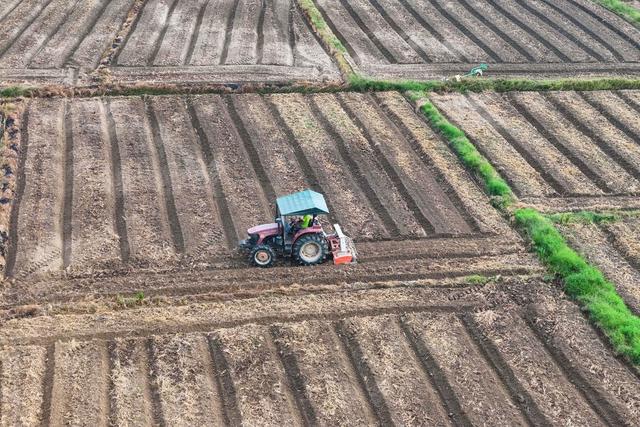 秋种、冬种、农田、农业、种植、油菜
