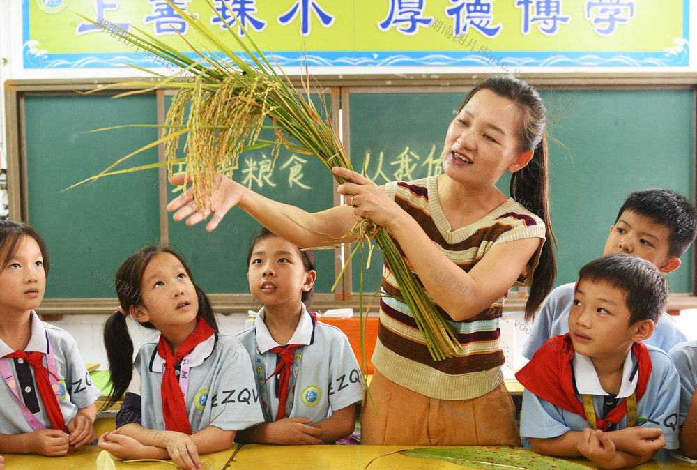 嘉禾: 珍惜粮食 从我做起