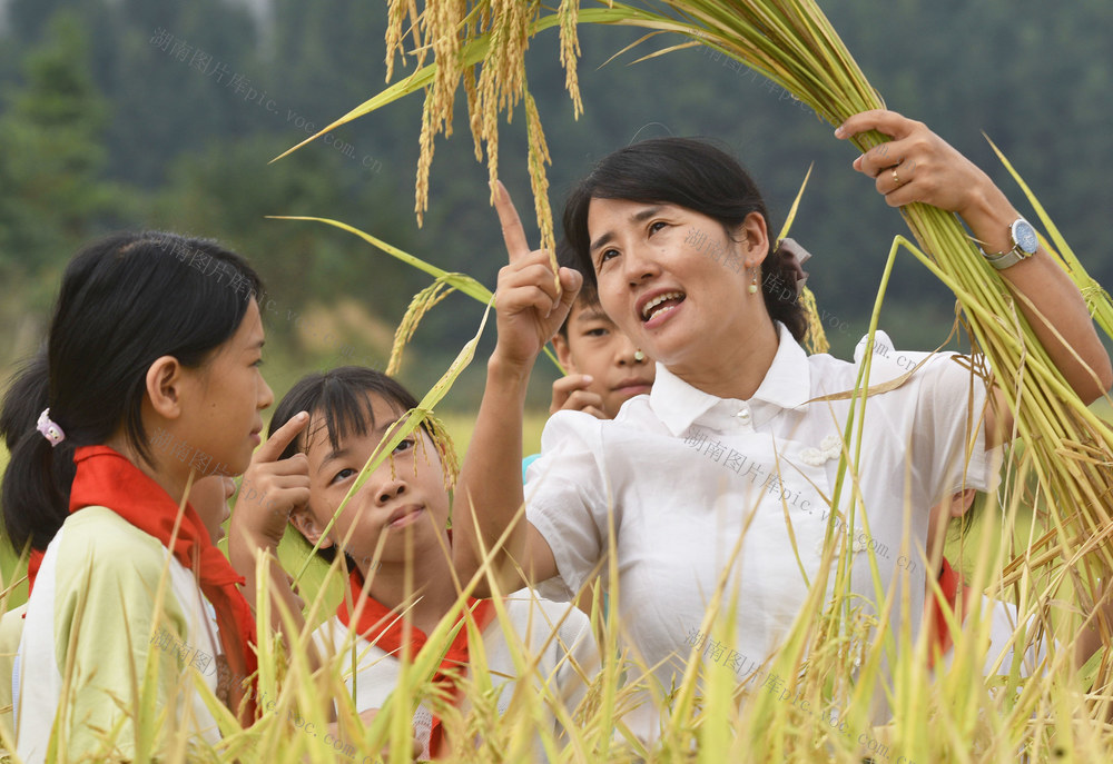 嘉禾：节约粮食  从我做起