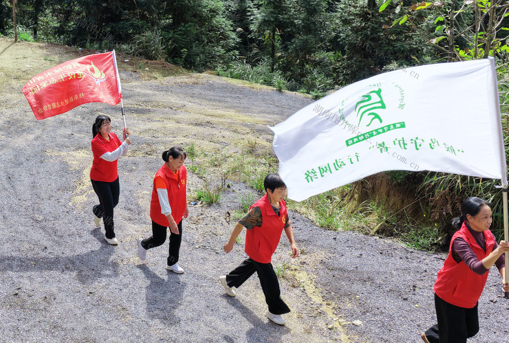 湖南桂东 志愿力量 护航 千年鸟道 