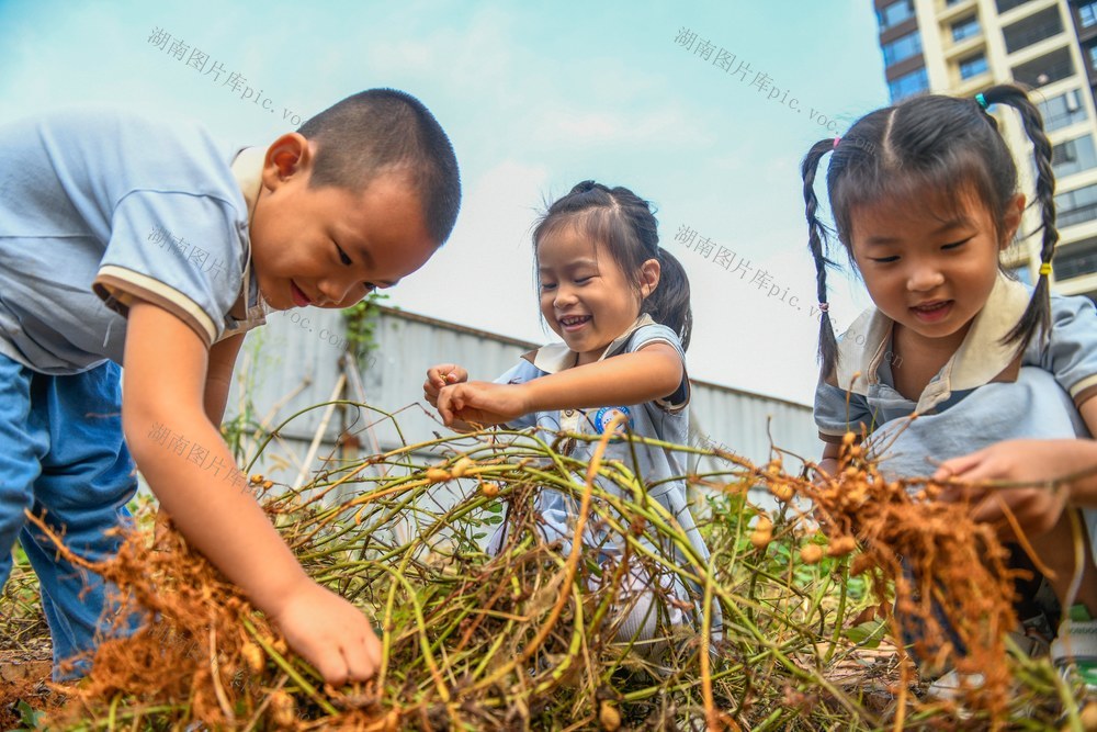 湖南道县：体验农事知惜粮