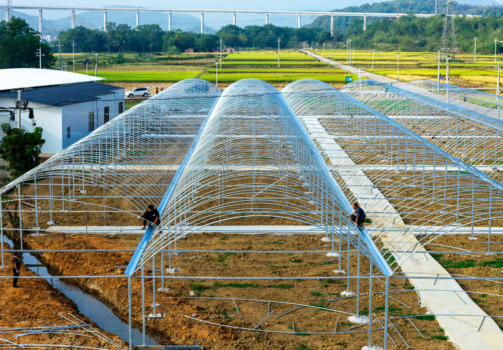 育秧大棚  扩建