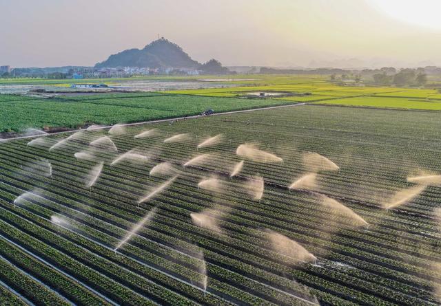 湖南道县：节水灌溉促增收