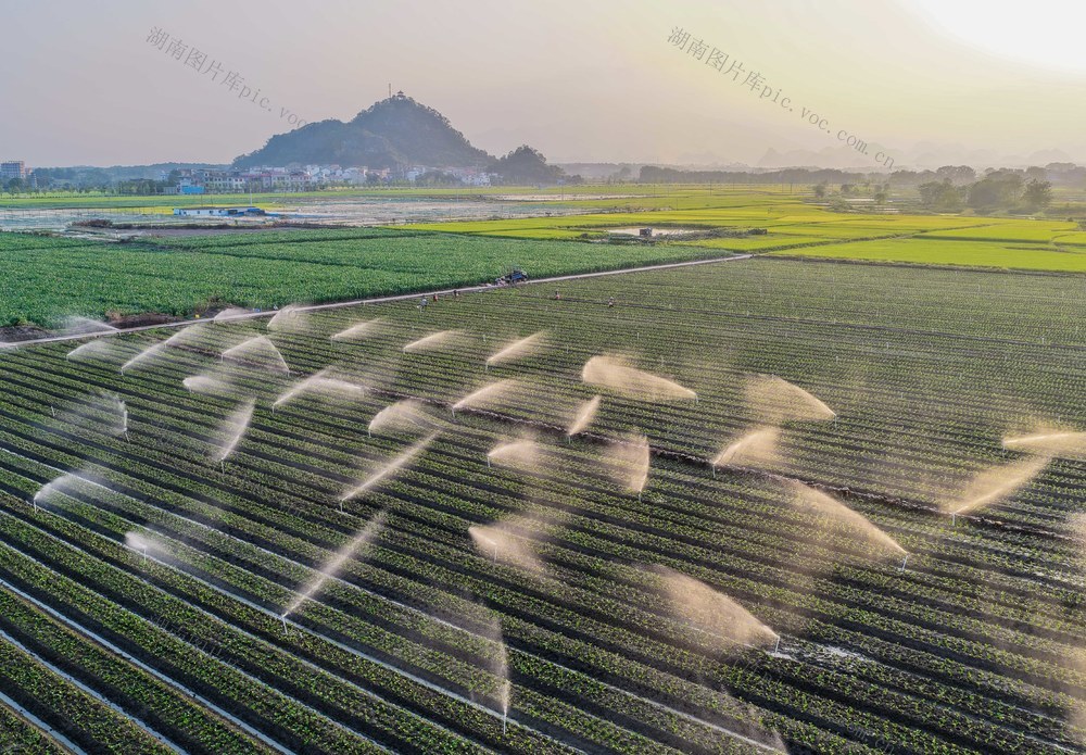湖南道县：节水灌溉促增收