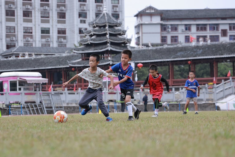 足球、训练、运动、青少年、球员