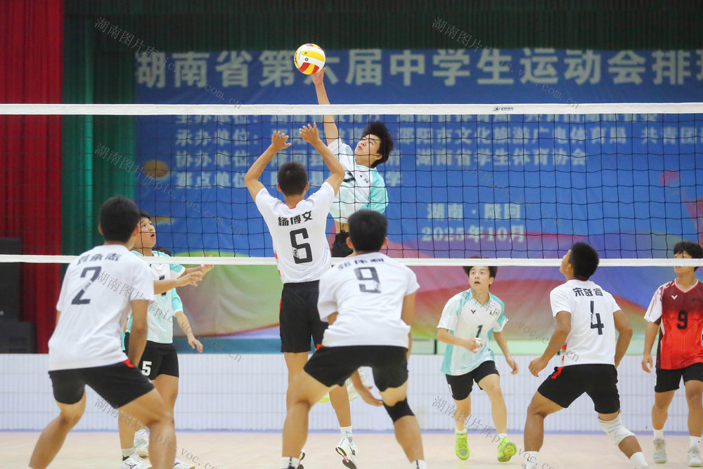 排球 比赛 中学生 运动会 体育 竞技 拦网 球网 扣篮