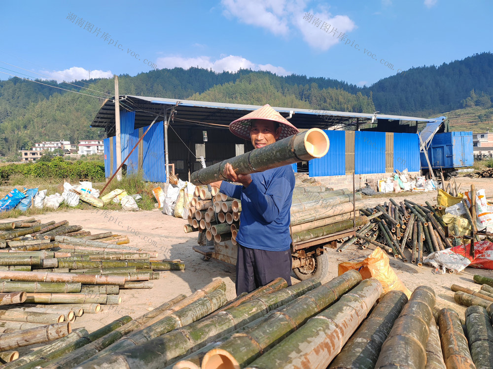 湖南桂东 楠竹 家 致富路