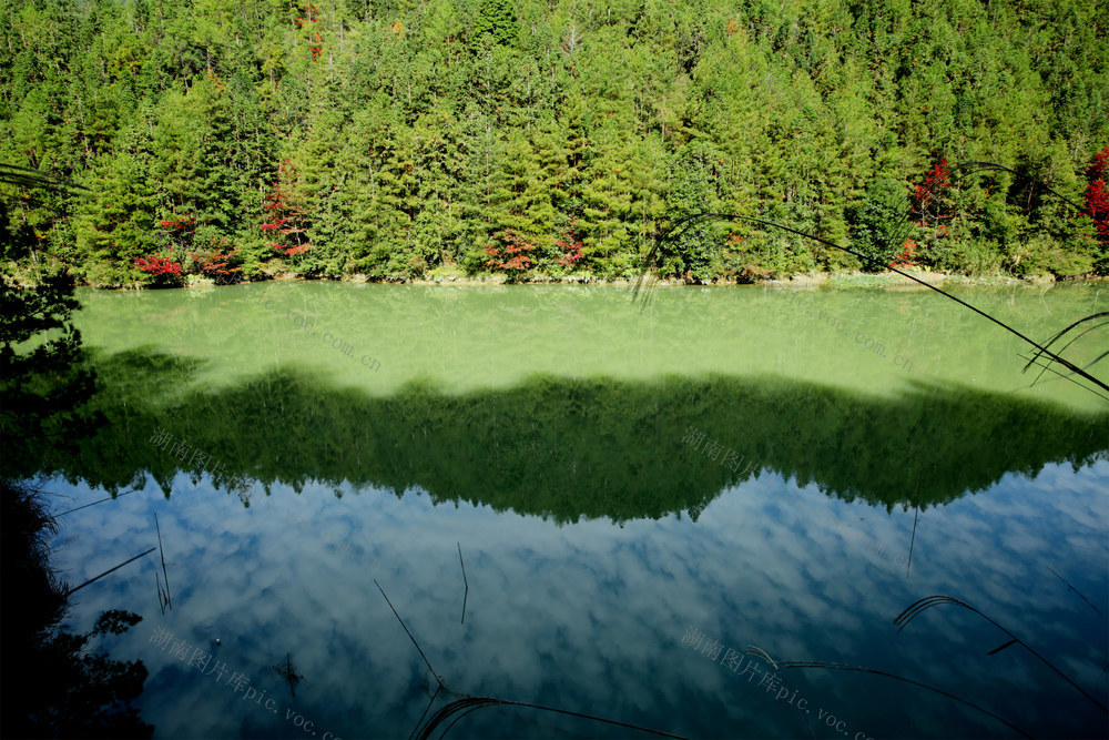 沤江 湘江耒水之源 湖南桂东 河长制 自然画卷