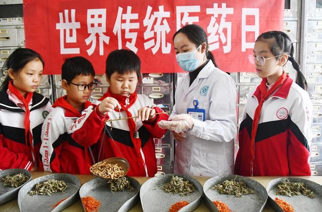 传统医药日：体验中医药文化