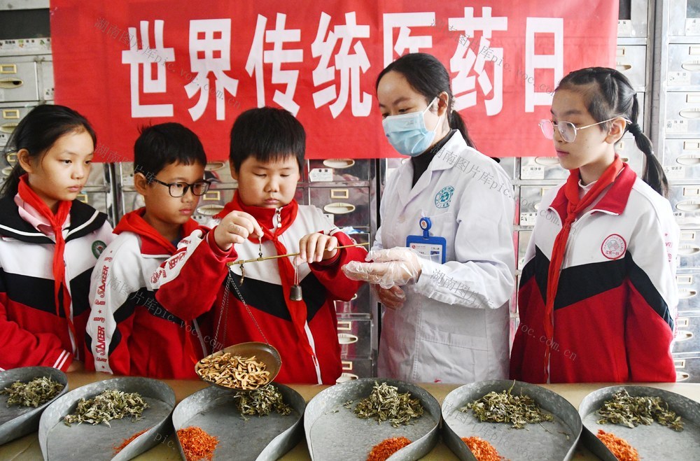 传统医药日：体验中医药文化