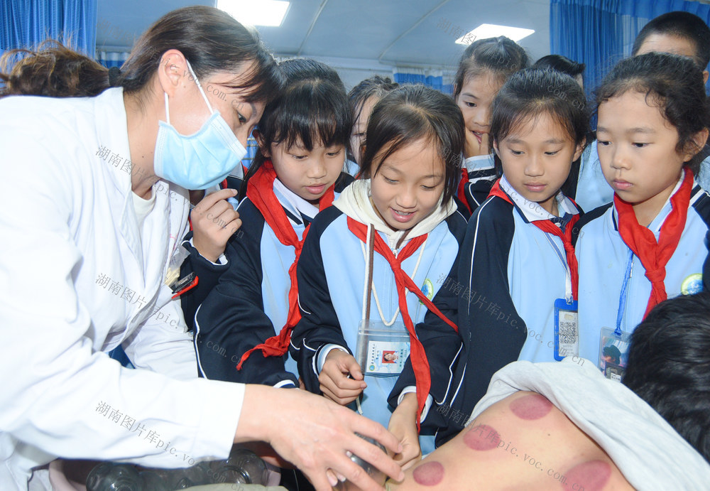 嘉禾：感受中医药文化