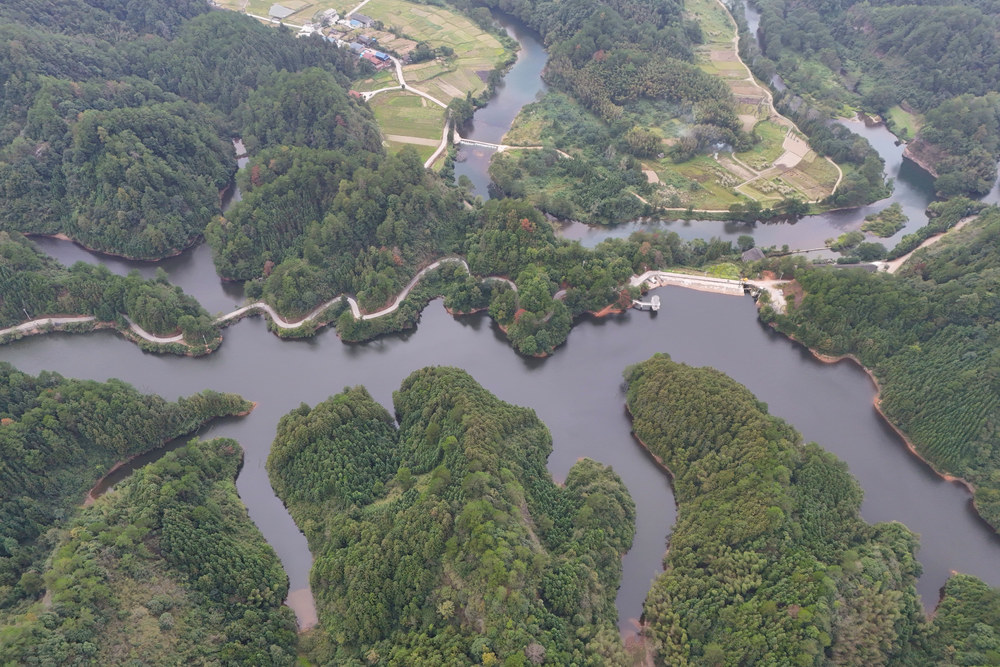 湿地、生态、自然、秋天、湿地公园