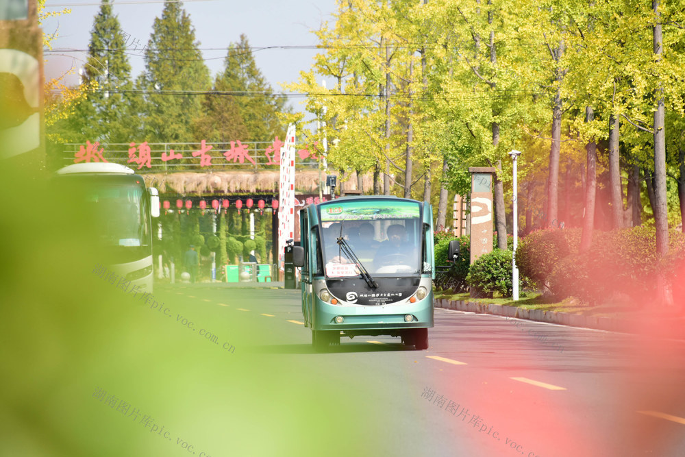 深秋  旅游  景区  农耕  研学