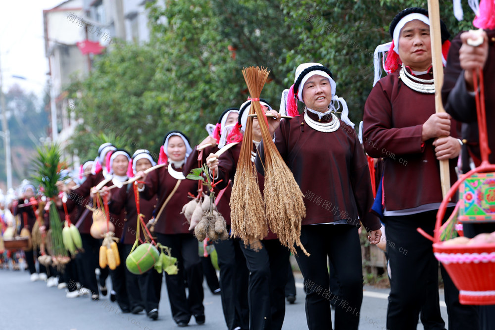 丰收 游行 农产品 民俗 丰收节