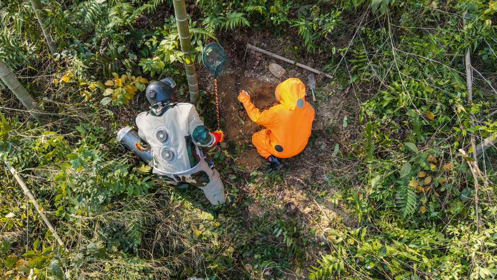 楠竹出山   捅马蜂窝