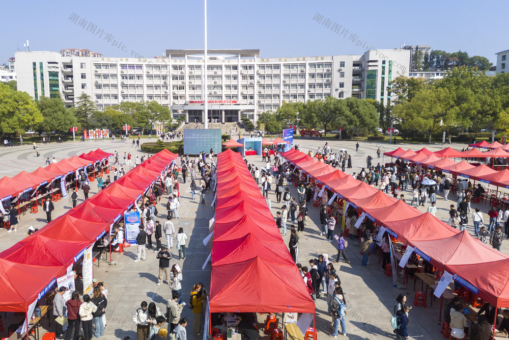 娄底,高校,招聘会,求职,毕业生,联合招聘,大学生