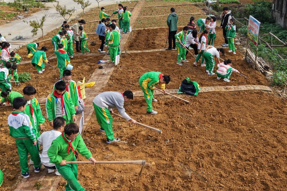 土家族  湘西  苗族  劳动   劳动基地  挖地  起垄  种菜  扶苗  施肥 
习惯 快乐 体验  知识 共享  菜园
