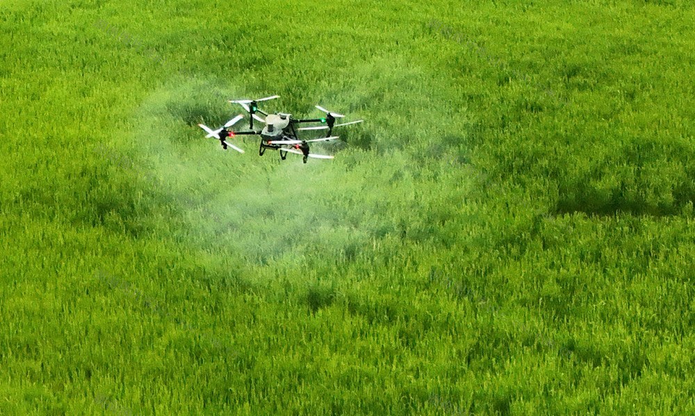 飞防作业助丰收