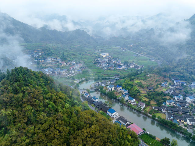 隘口村 秋雨 茶园 绿色生态 和美家园