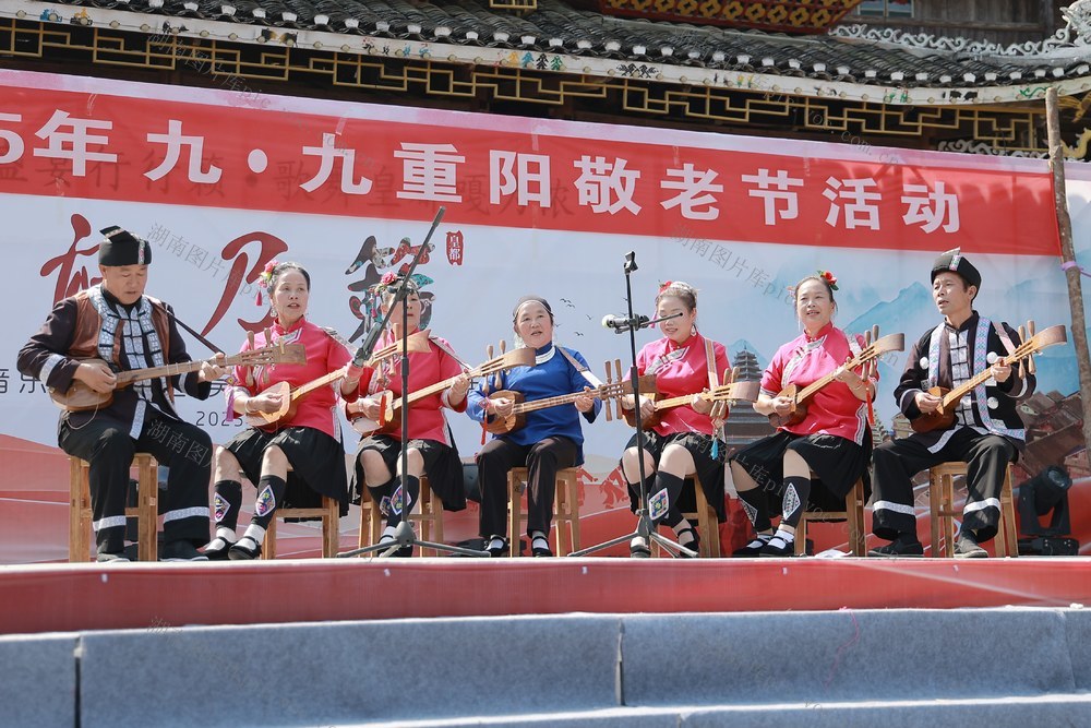 重阳节、民俗、活动、敬老、侗族