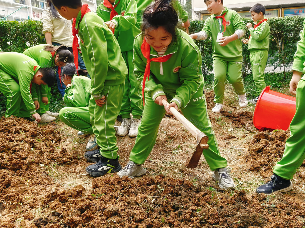 劳动 学生 校园 基地