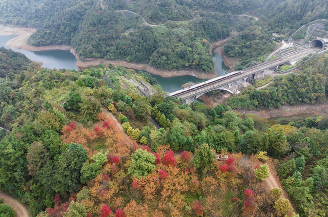 秋天，泸阳，杨村，红枫，高铁