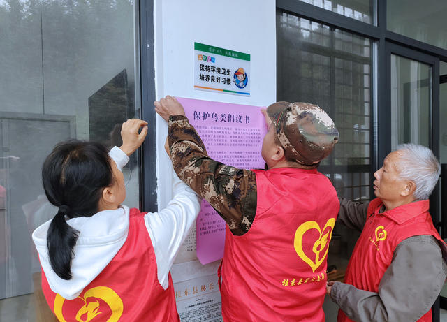 湘赣 护鸟飞 迁徙 志愿者