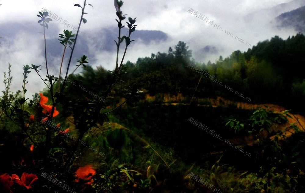 云雾  山峰 村庄