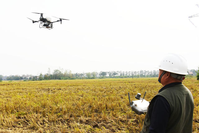 农业  油菜直播  机械化  拖拉机  植保无人机  社会化服务