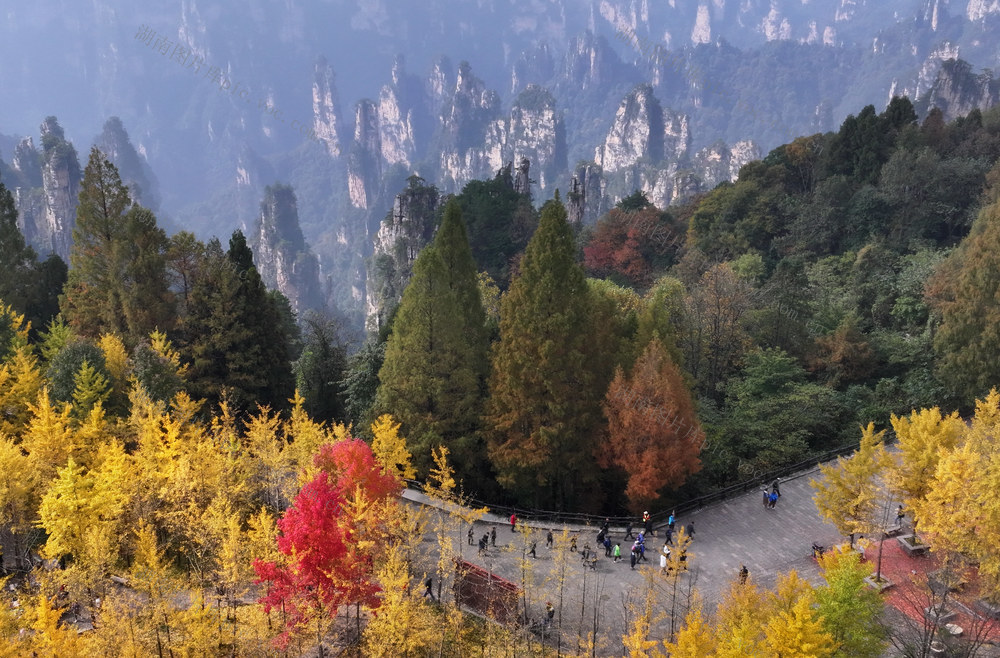 秋色 张家界 