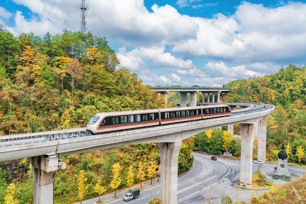 乘磁浮列车    游大美深秋