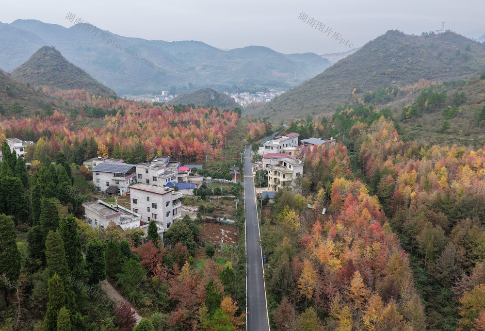 城步 乡村 初冬 景色 画卷