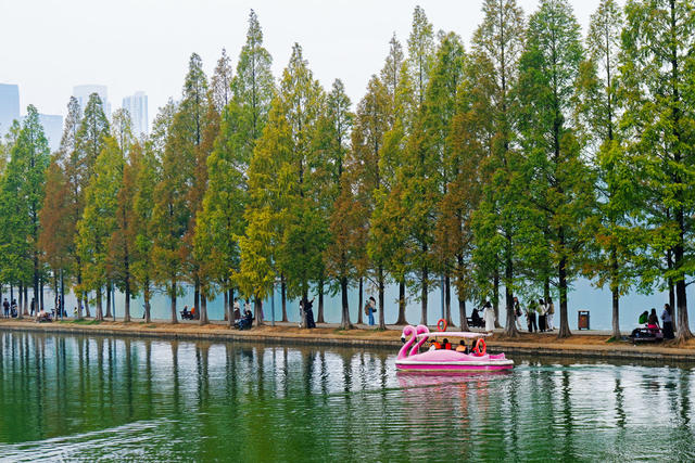  烈士公园美如画