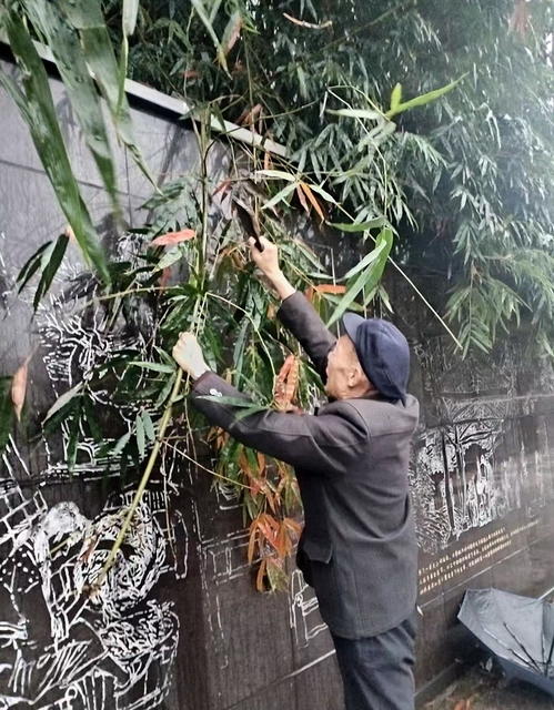 老人囗砍掸囗小竹囗枝条