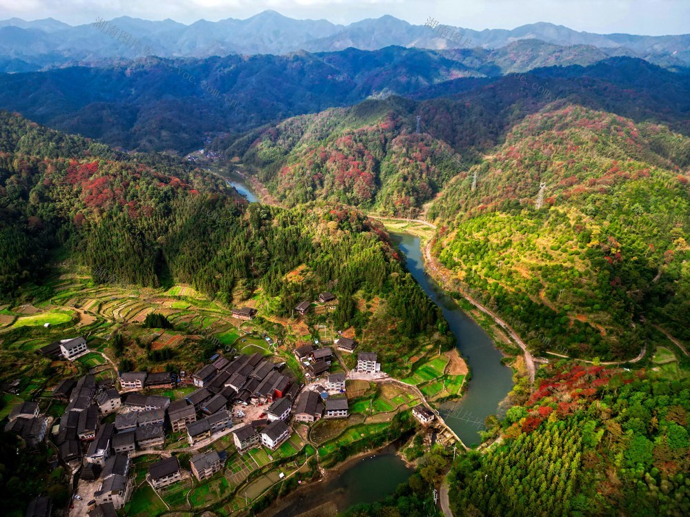 深秋 烂漫 红叶 美丽 画卷