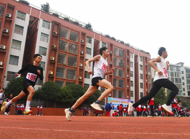 嘉禾：校运会 展风采