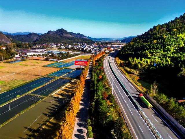 公路  树林  田园  民居  乡村 美丽 画卷