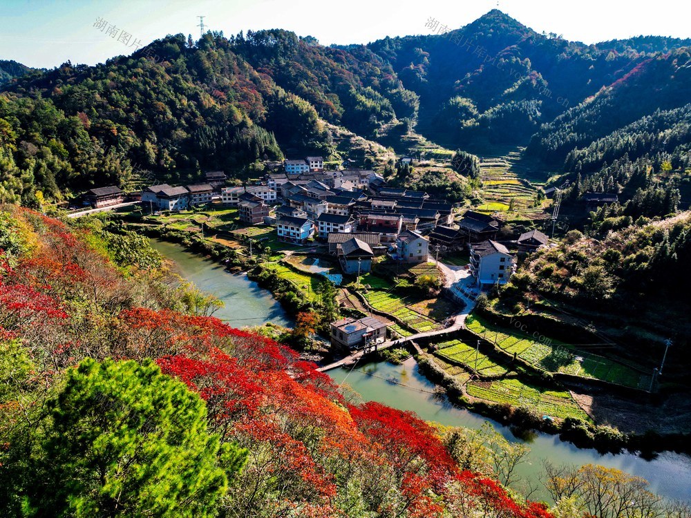 红叶 河流 村庄 民居 山峦 美图