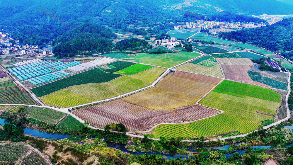 田园  蔬菜  乡村  如画