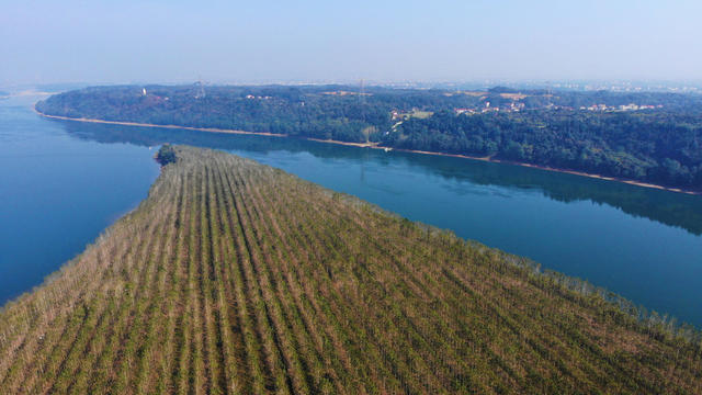 金山村 文星塔 木塘垸镇