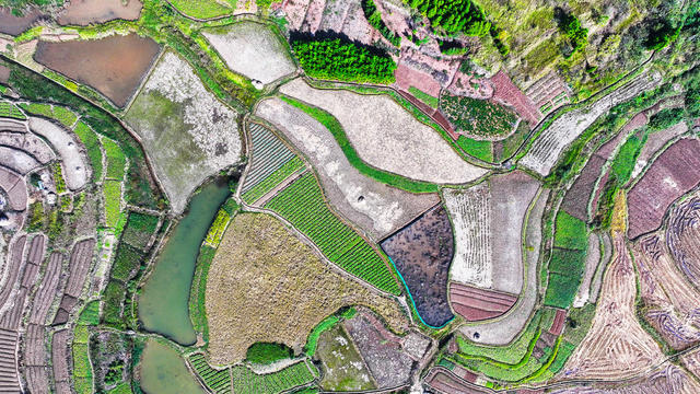 指纹  田园  大地  画卷